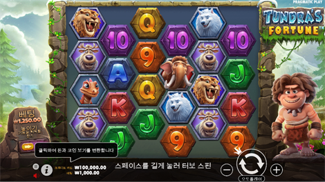 마이티 콩
